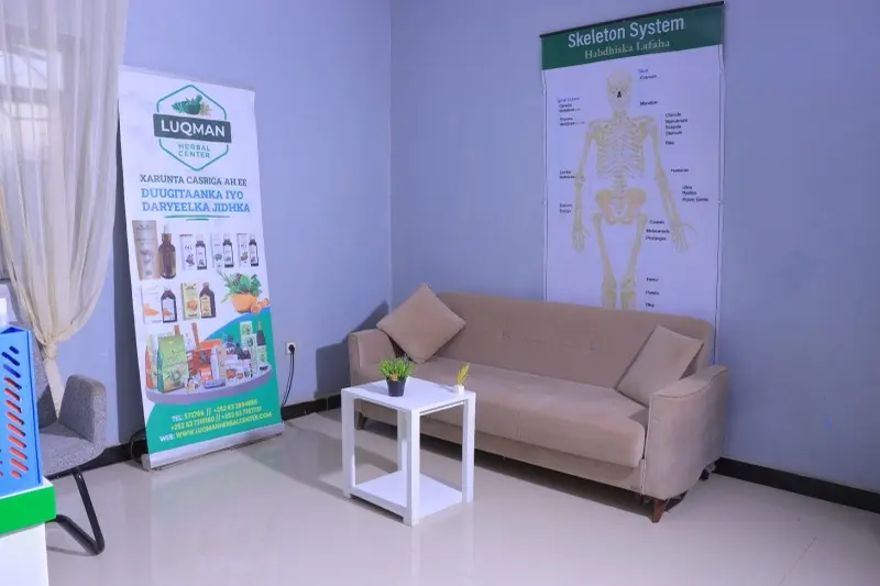 Waiting area with seating, an anatomy chart and the herbal centre banner